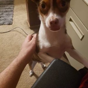 Meet your Posher, Jonathan